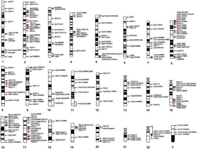 科学与健康|基因组编辑新利器：PCE技术实现染色体“精准编辑”