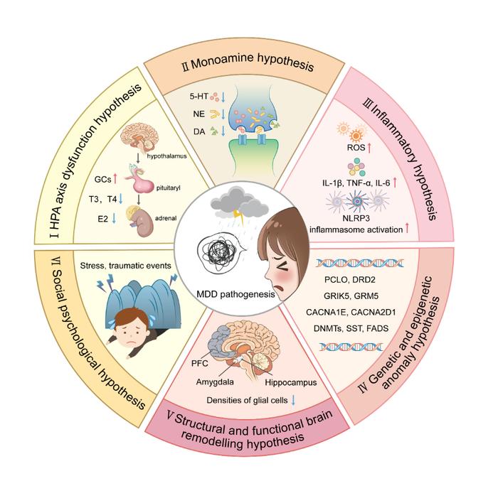 德研究说糖尿病患者的抑郁症可以个性化治疗