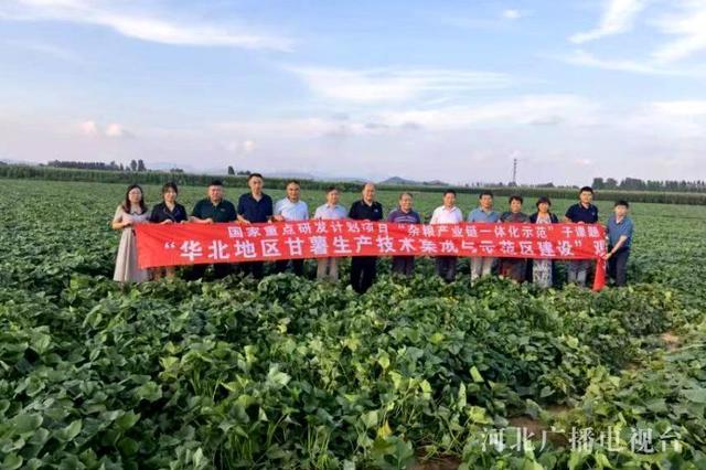 新洋丰上半年营收净利双增 产业链一体化布局构筑护城河