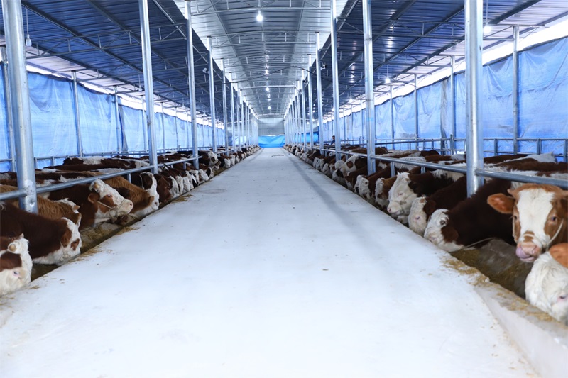 新洋丰上半年营收净利双增 产业链一体化布局构筑护城河