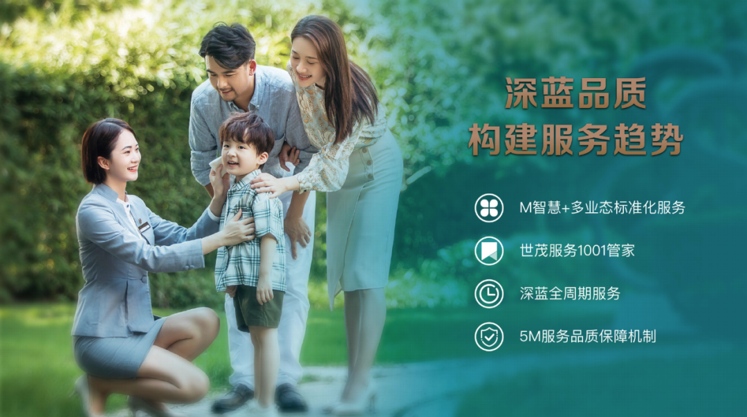 世茂能源盘中创历史新高