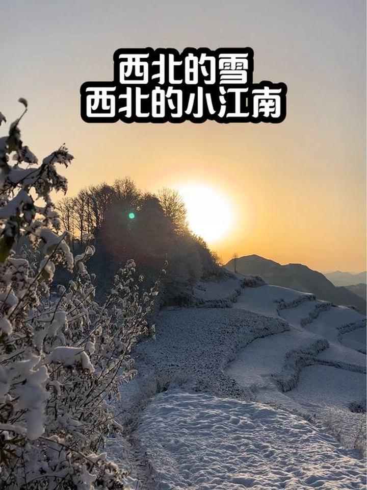 雪是故人