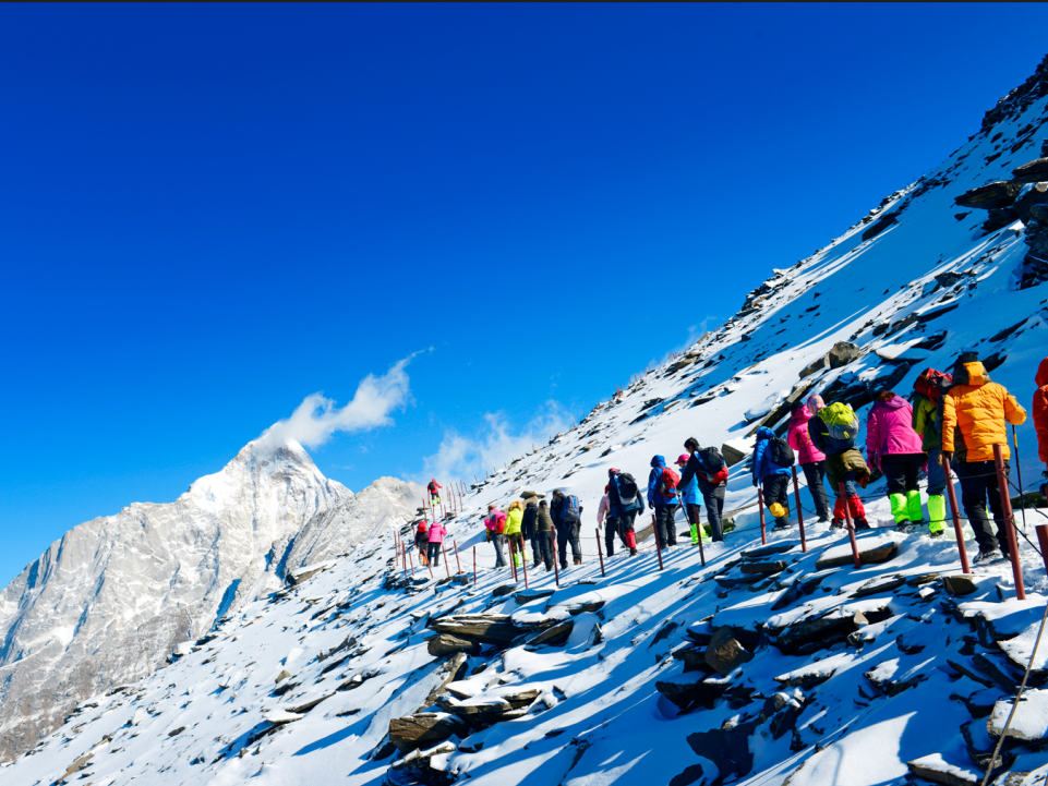 山金国际盘中创历史新高