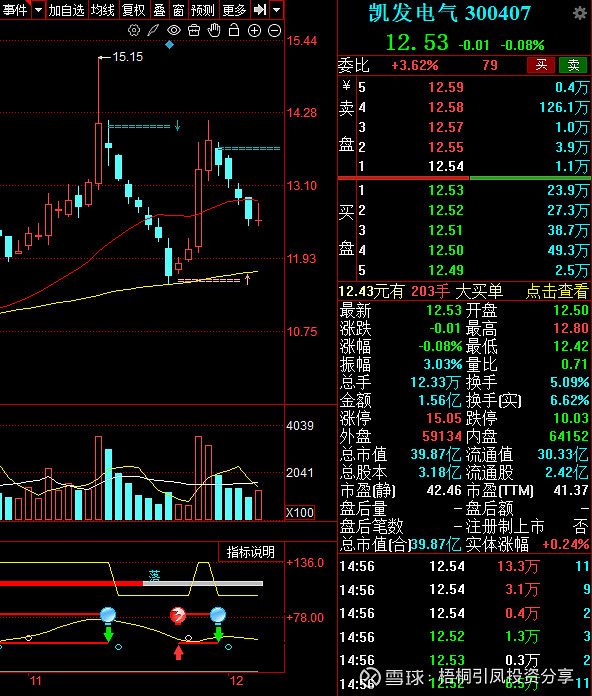 凯发电气：截至2026年1月10日股东人数为18783人