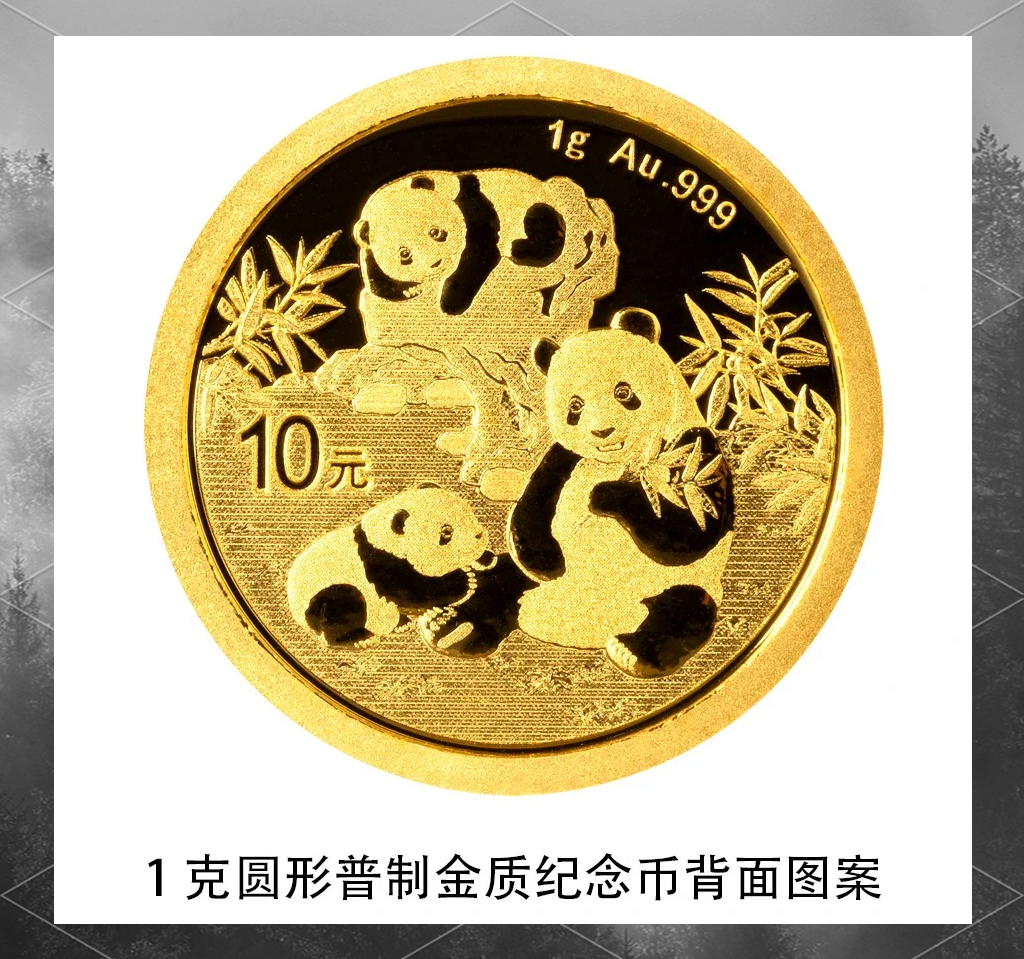 2026首单金融熊猫债发行