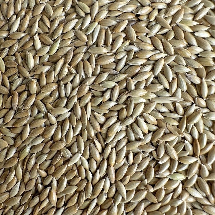 2025年加纳的20项改革和成就