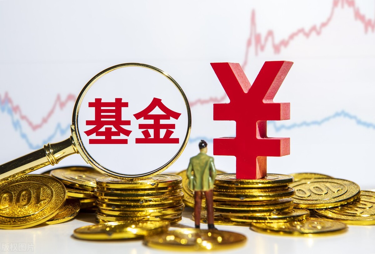 基金1月19日参与8家公司的调研活动