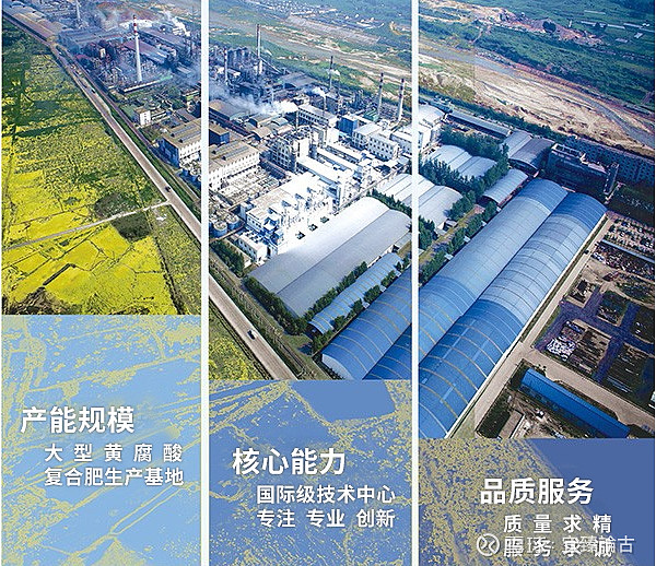 川发龙蟒：截至2026年1月20日股东总户数为154,428户