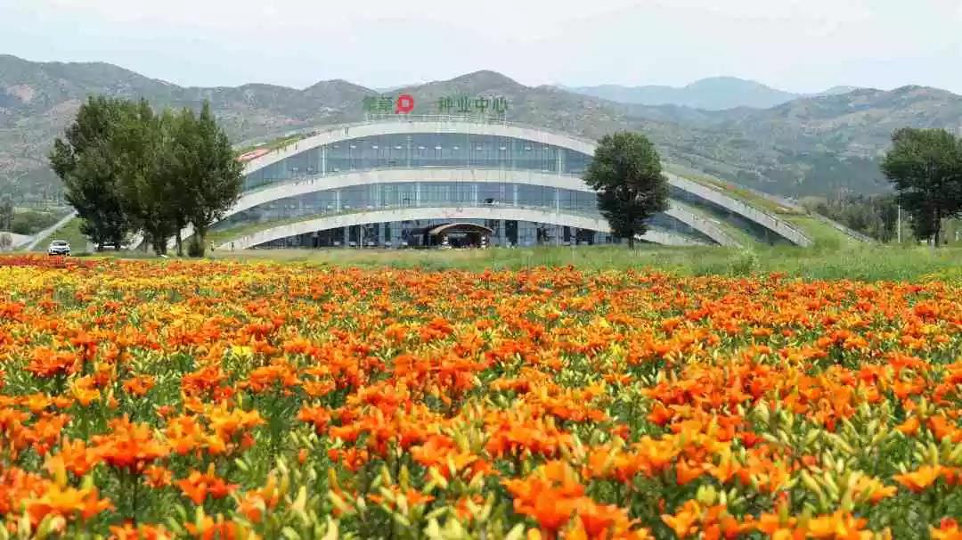 蒙草生态(300355.SZ)：实际控制人王召明拟减持不超过2.3311%股份