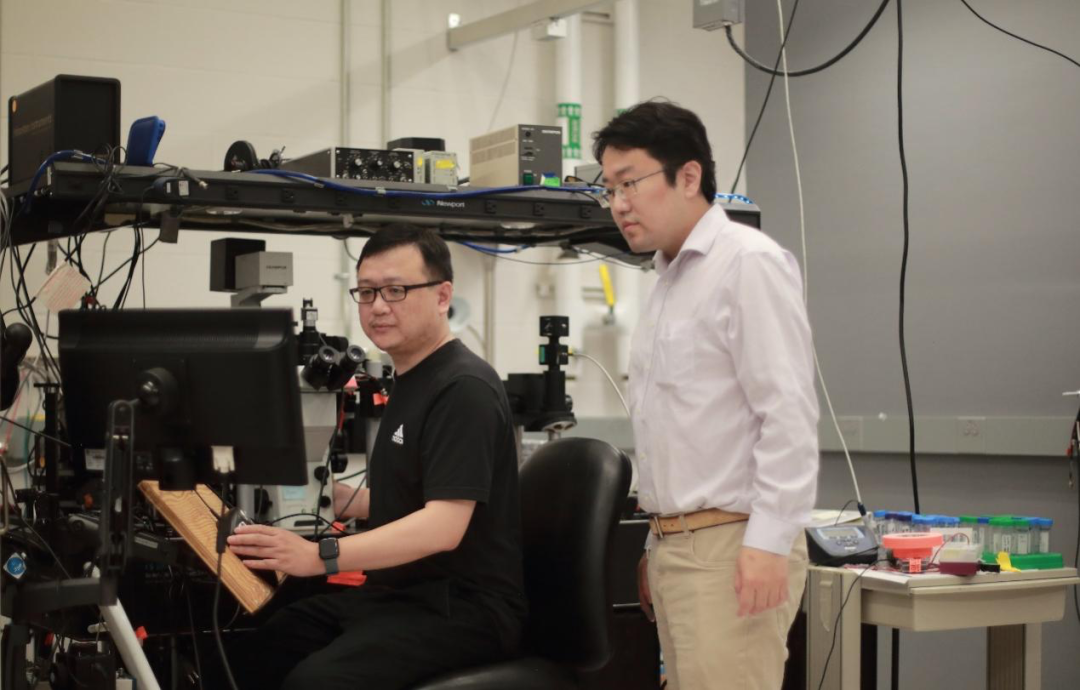 60万丁肝患者有药了，完全由中国科学家研制