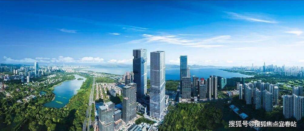 神州数码：截至2026年1月20日股东总数为12.17万户