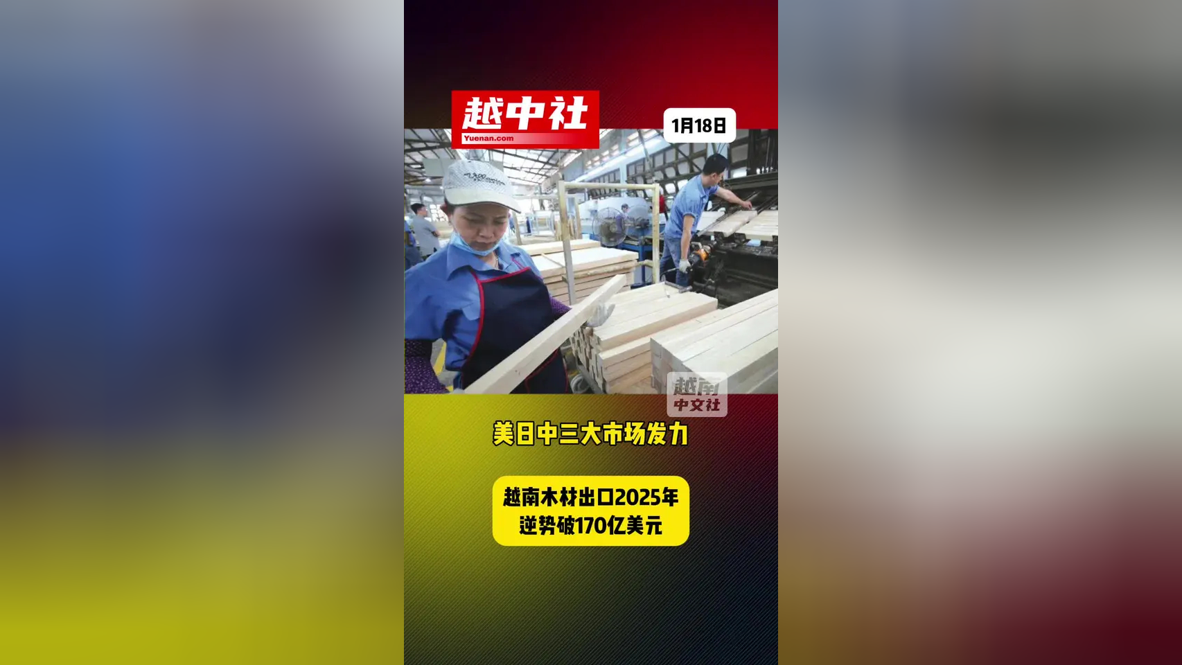 2025年越南十大出口市场统计