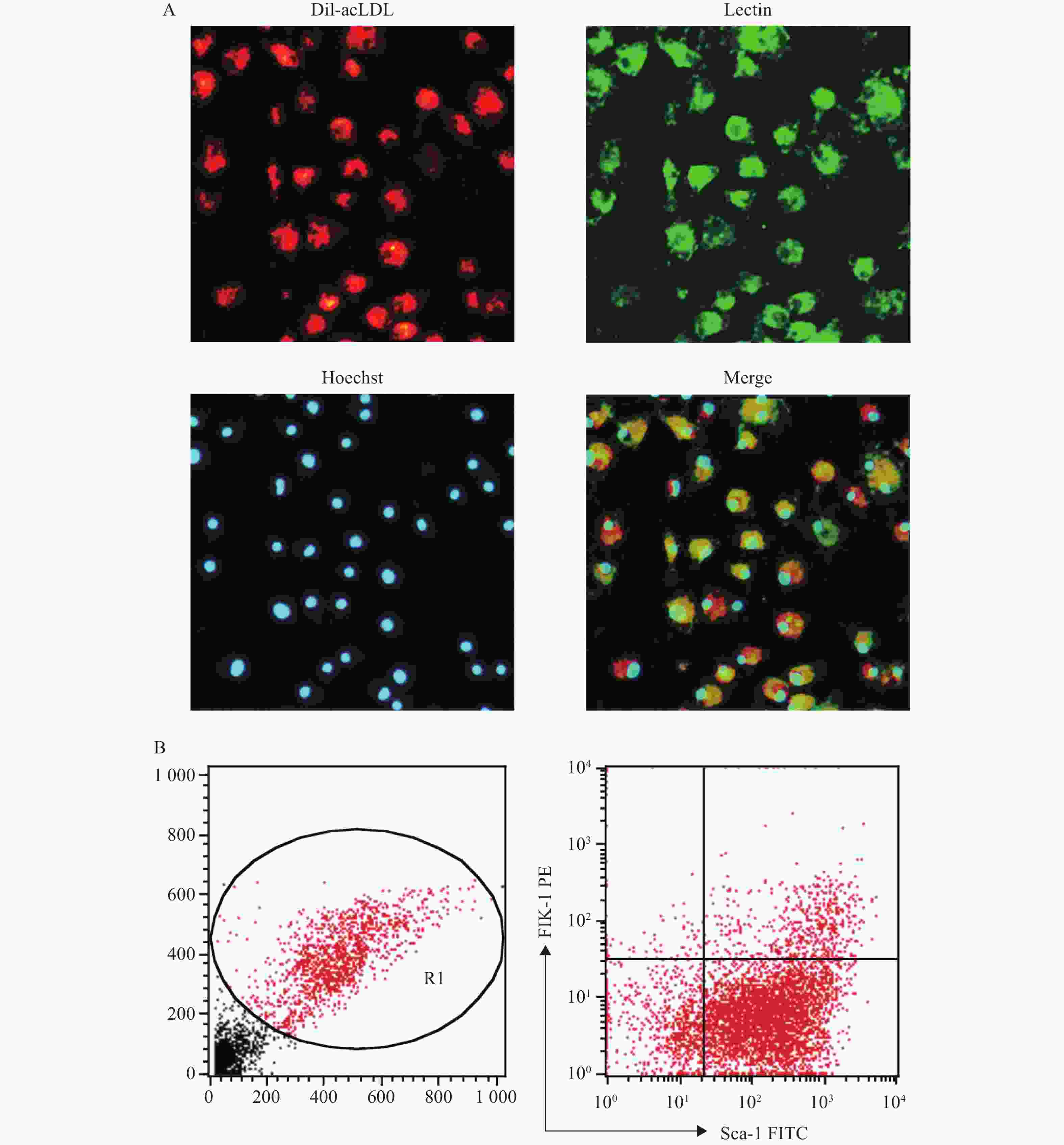 博拓生物：2025年净利同比预降73.45%左右
