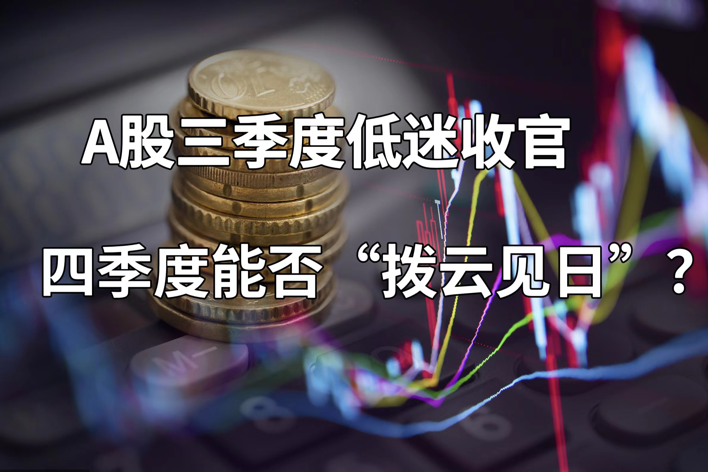 佳创视讯：截至2026年1月20日，公司股东户数是30,022