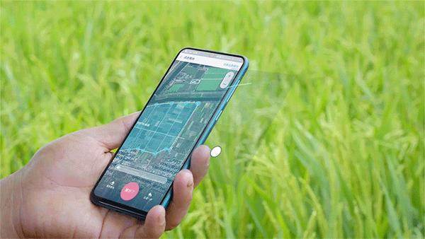 立方风控鸟·晚报（1月28日）