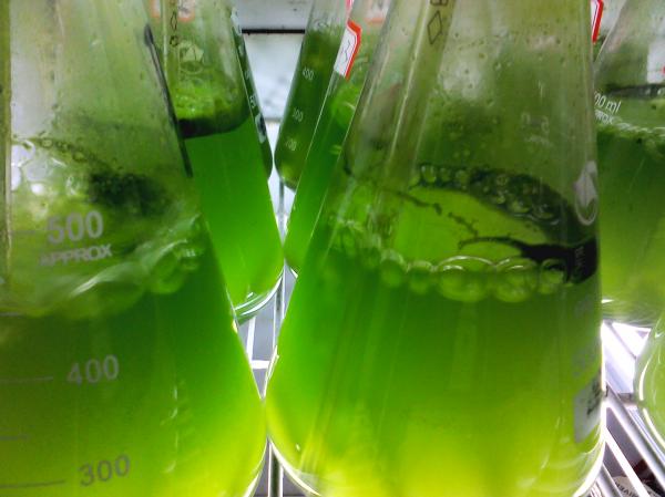 第五届青山科技奖出炉：聚焦“数字+绿色”，鼓励基础科研“更落地”