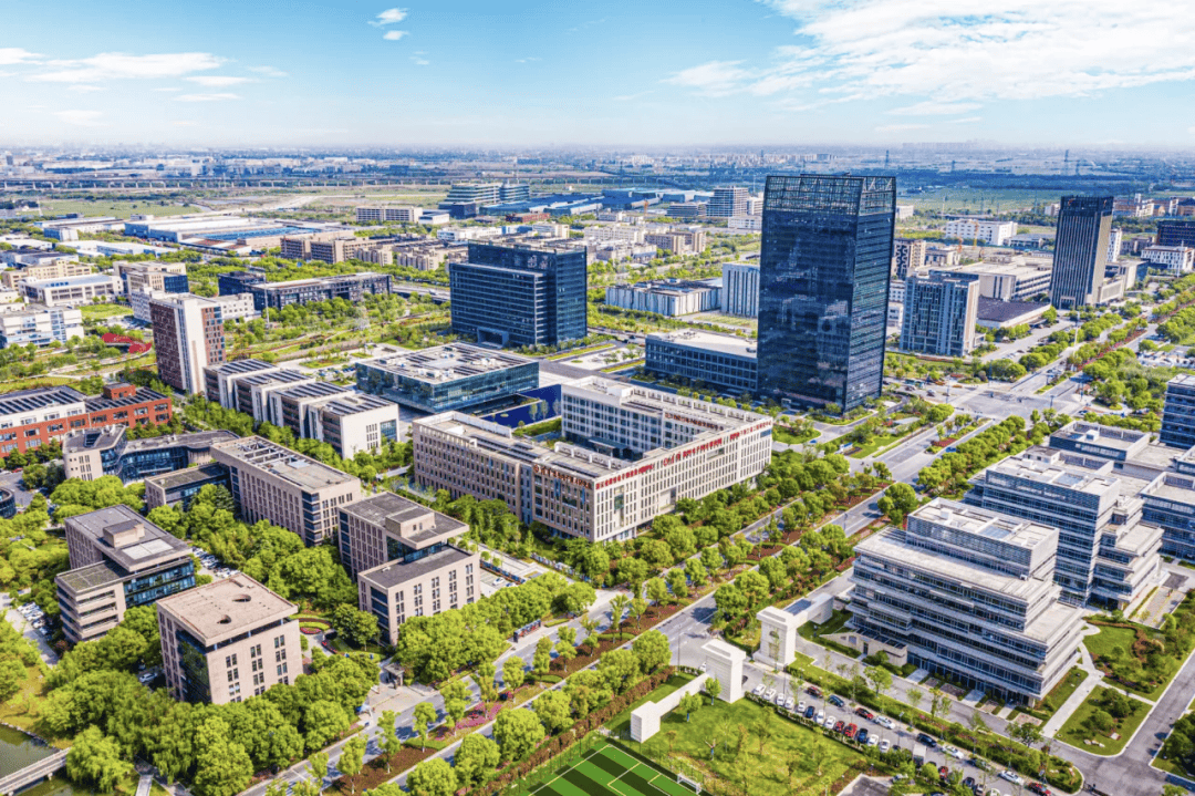 年轻且能打！浙江首批“科技新小龙”亮相