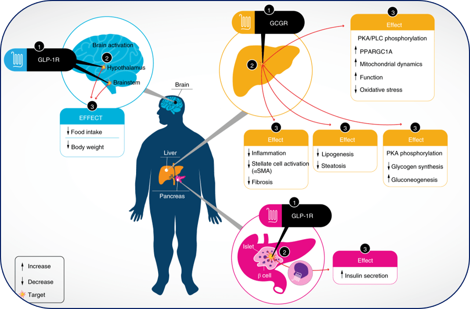 动力电池赛道密集突破 技术前沿多路并进