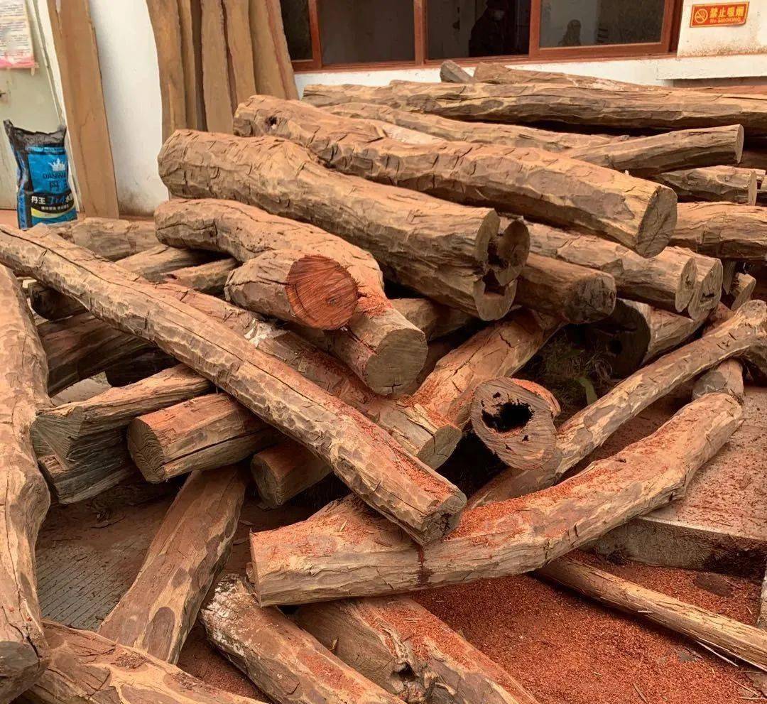 巴新将全面禁止原木出口