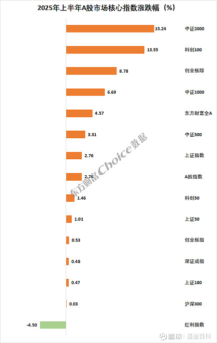 15只科创板股2025年业绩快报亮相（附股）
