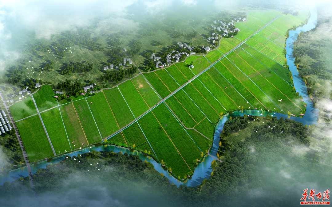 韩文秀：要加力实施新一轮粮食产能提升行动