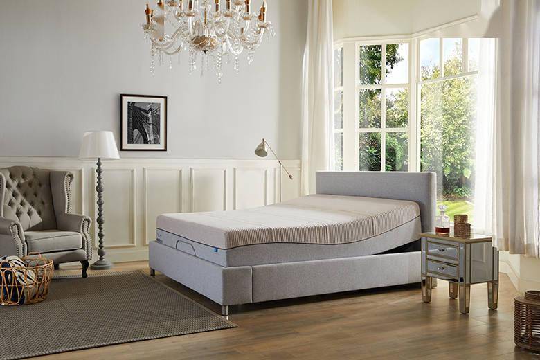 麒盛科技获得实用新型专利授权：“电动床及支撑垫定位结构”