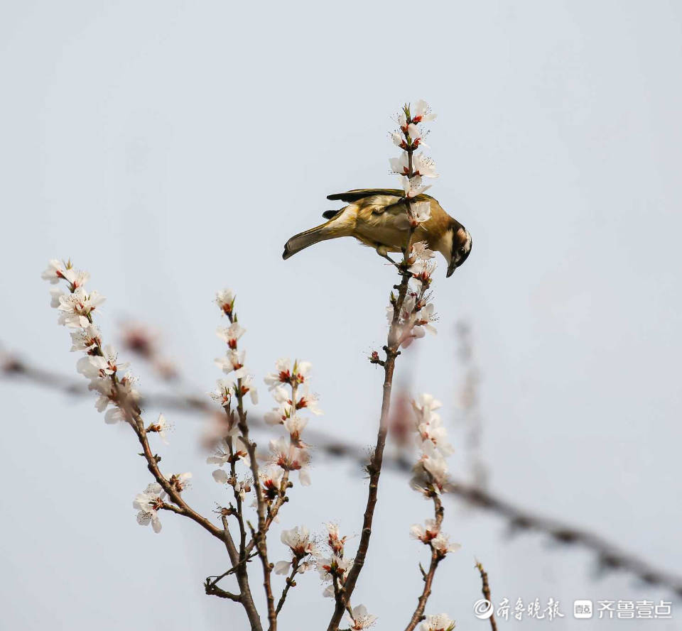 立方风控鸟·晚报（2月6日）