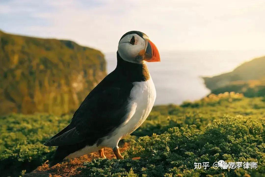 立方风控鸟·晚报（2月6日）