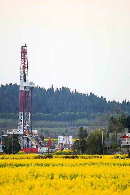 科特迪瓦“鲸鱼”油田实现资源战略开发多元化