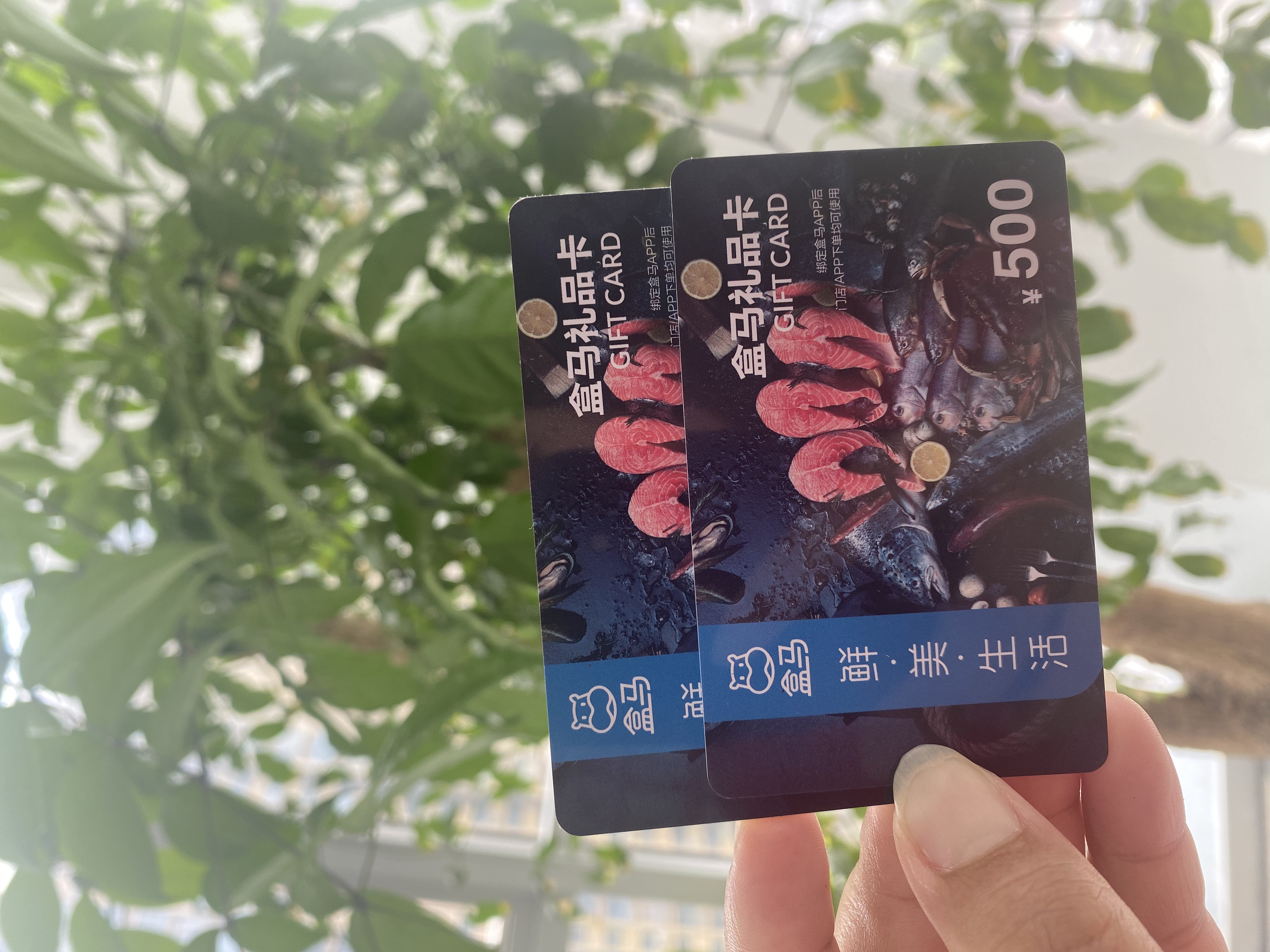 千问免单卡可以点盒马了