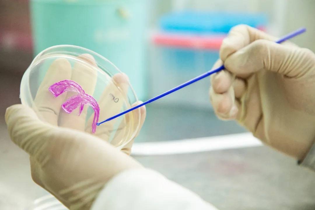 突破高温密封瓶颈 光热发电关键部件技术获国际领先鉴定