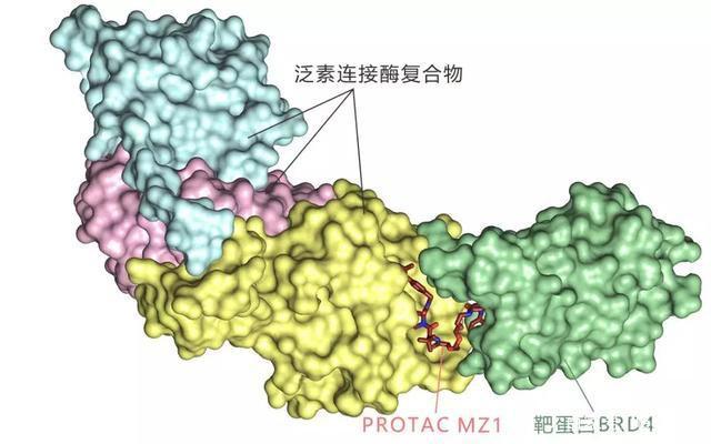 安必平获得发明专利授权：“一种抗C-MET蛋白单克隆抗体及其相关产品和用途”