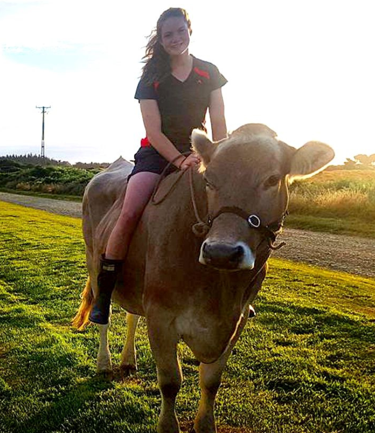 驻奥克兰总领馆经商处调研新西兰马业发展情况