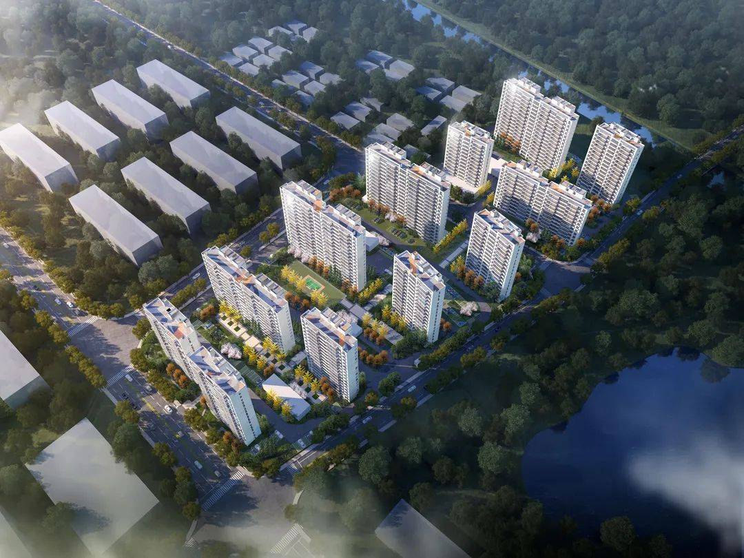 预见金马｜光大证券赵陵：以“国之大者”为引领，建设中国一流的服务型投资银行