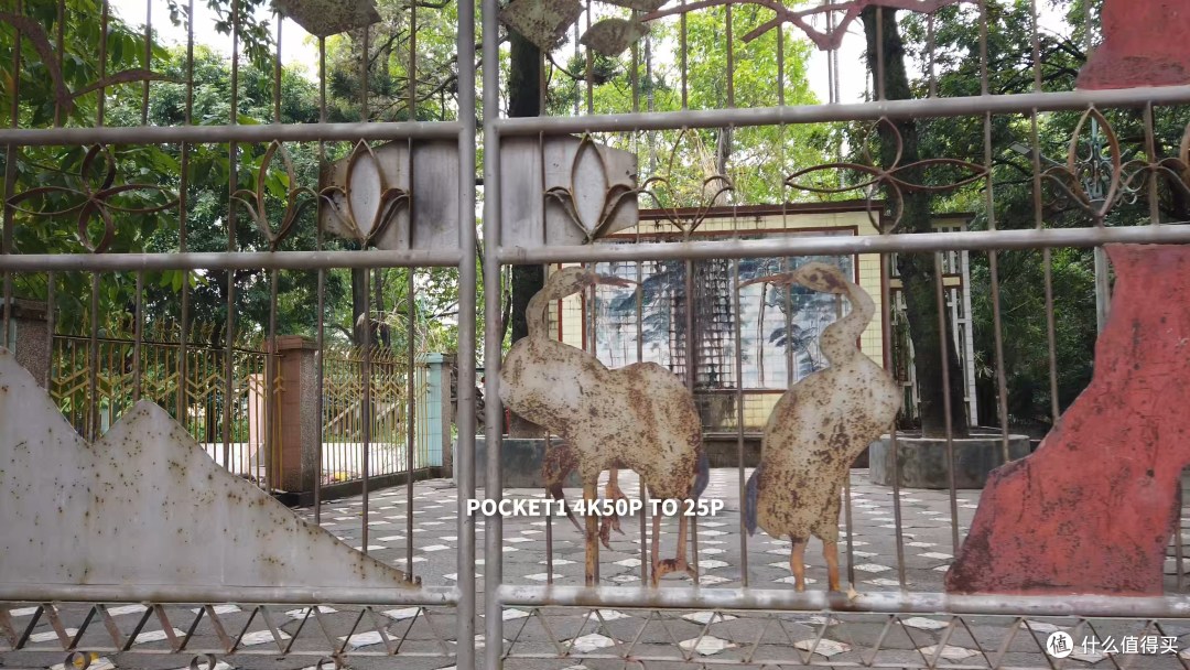 大疆前副总裁袁某，被公安机关刑事拘留！曾在大疆任职5年，全面负责销售工作