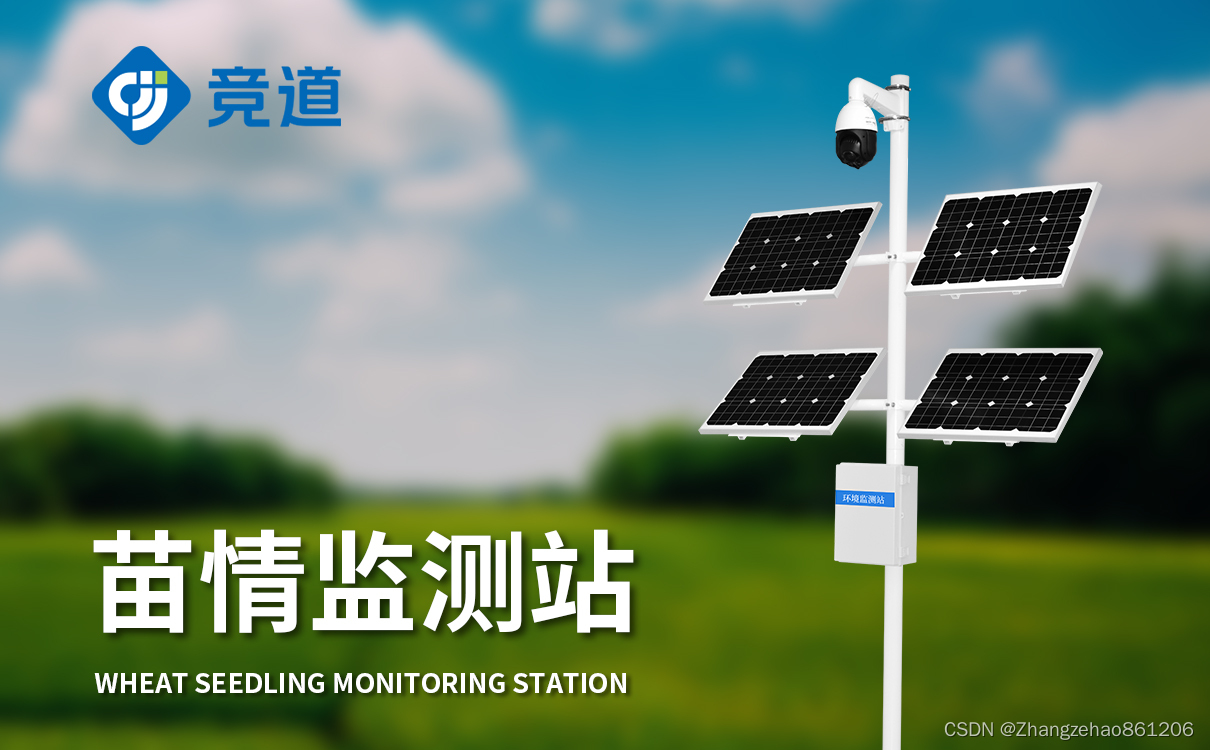 中国科研人员开发新型碱基编辑系统助水稻精准改良