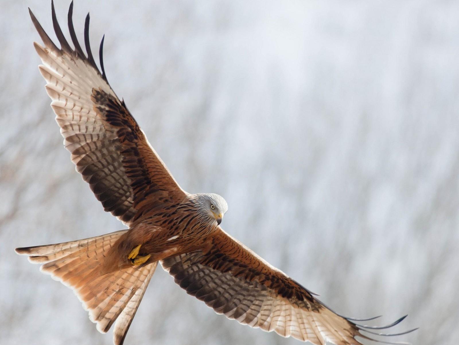 恒生电子获得发明专利授权：“基于FPGA的订单簿数据构建方法及系统”