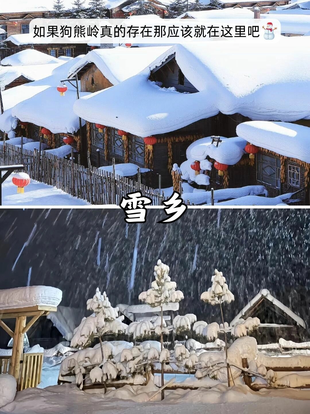 在哈尔滨,赴一场冰雪之约 | 故乡里的中国