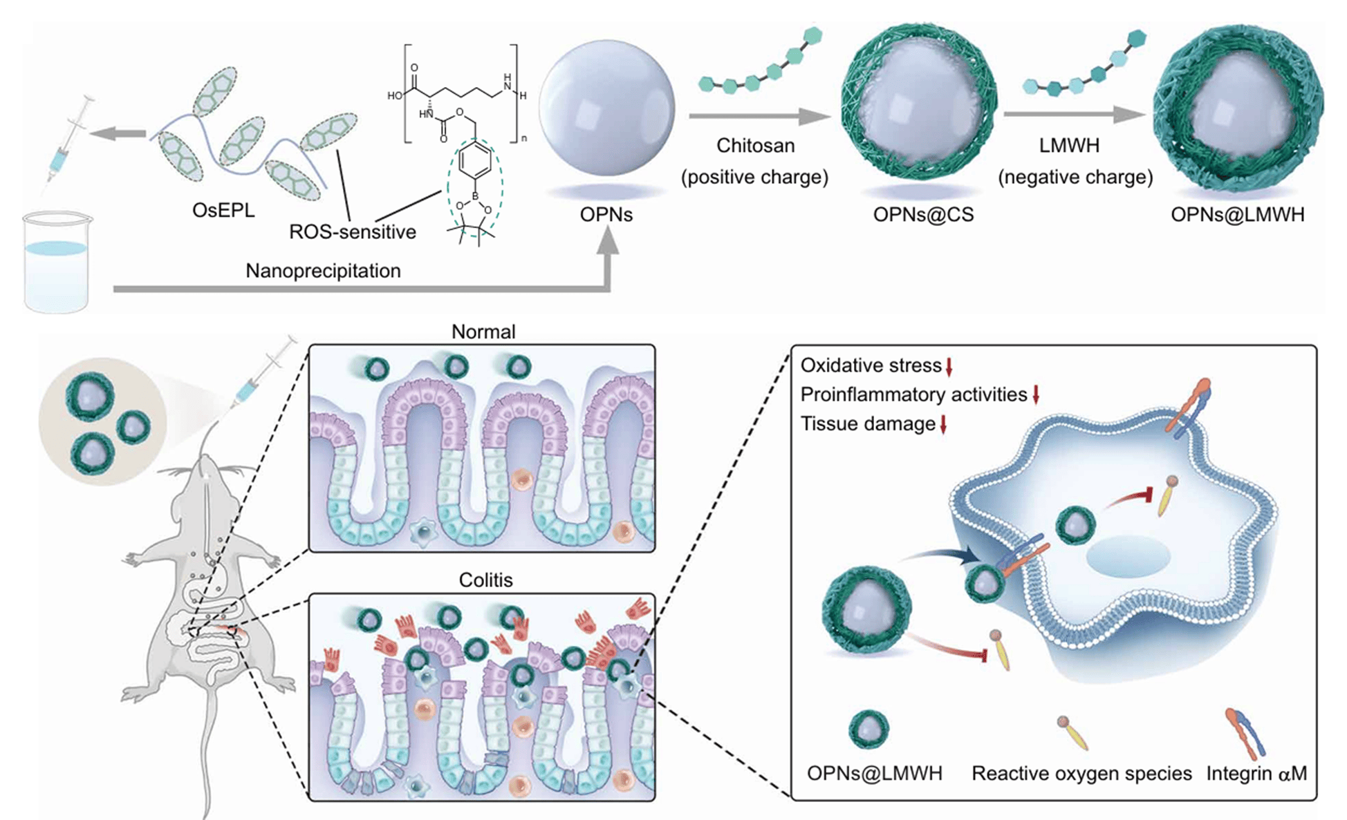 中国石化获得发明专利授权：“甲烷化催化剂和甲烷化法处理甲烷氧化偶联制乙烯反应尾气的方法”