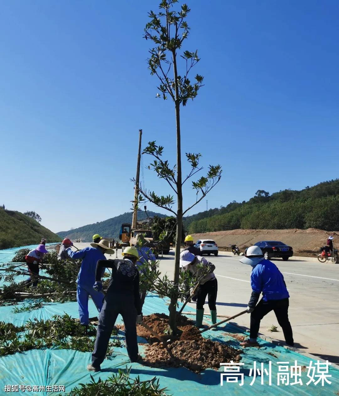草甘膦概念涨5.56%，主力资金净流入6股