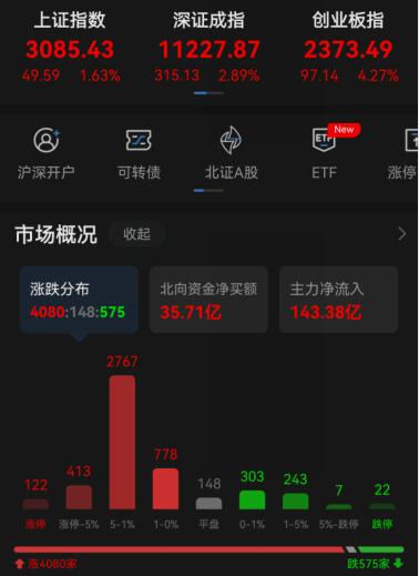 艾罗能源涨停 13只科创板股涨超5%