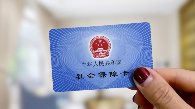 全国人大代表陈雪萍：建议进一步优化大龄农民工再就业