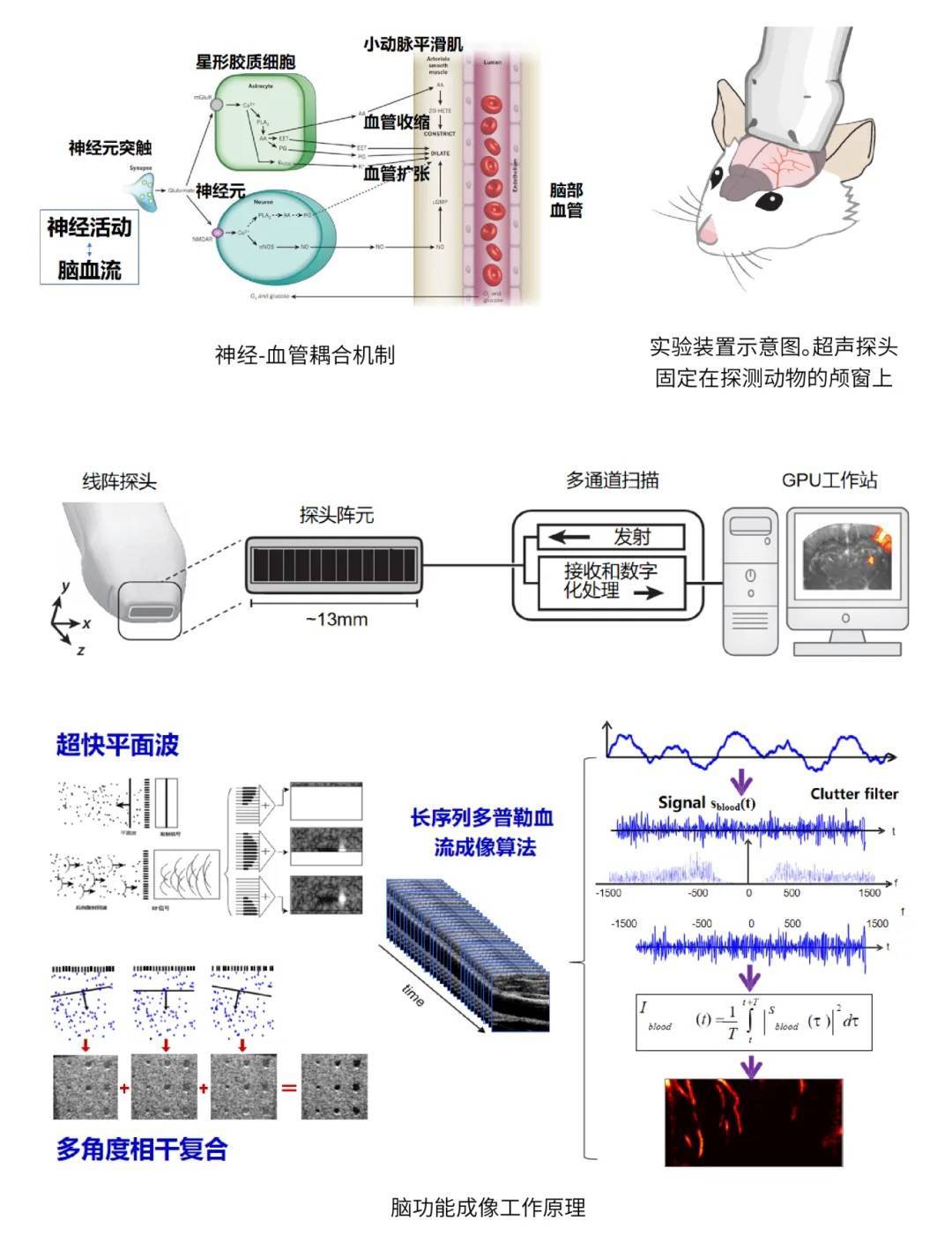 江苏：到2030年，认定不少于30个脑机接口“三首两新”产品