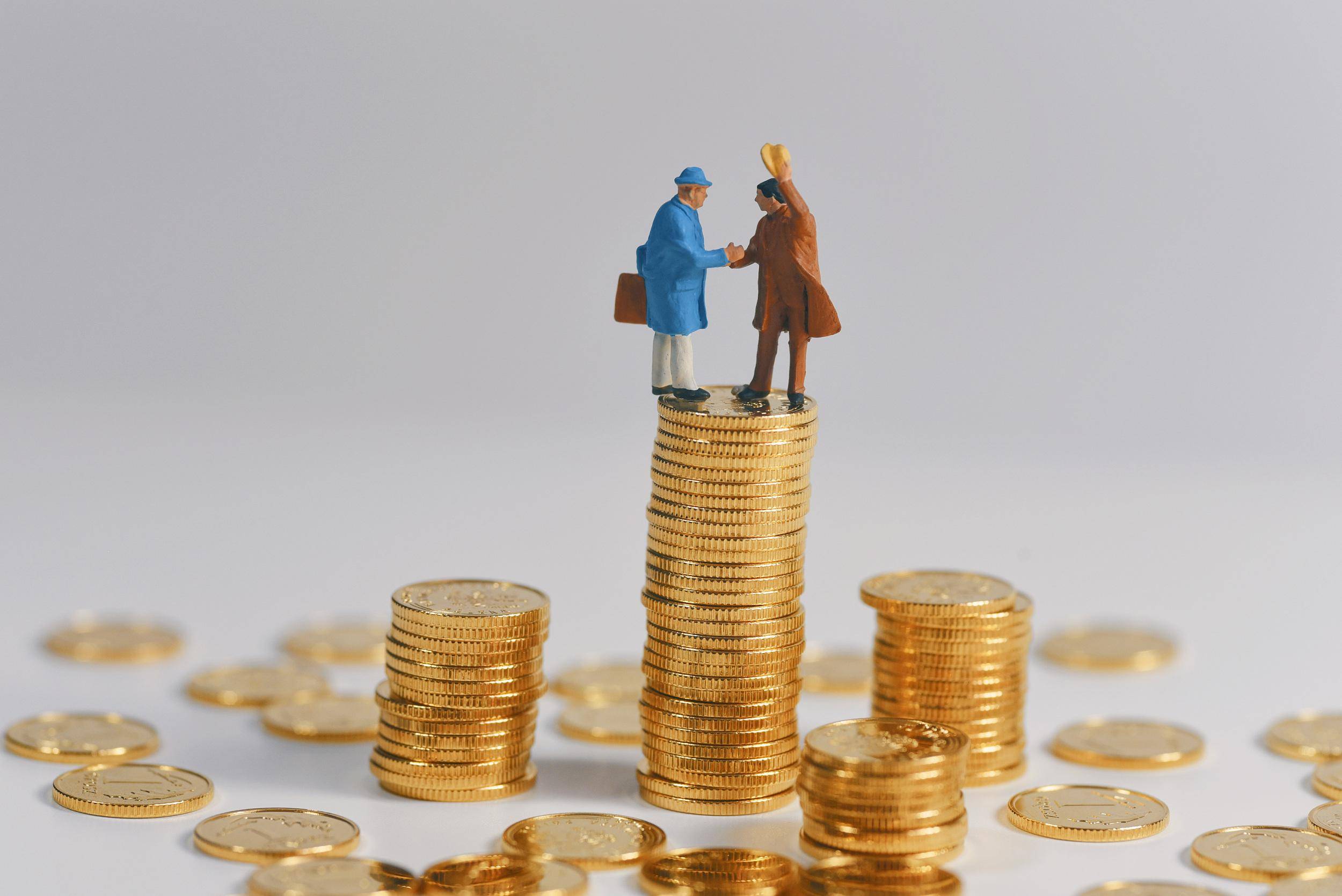 网下询价超205倍，华夏华电清洁能源REIT备受资金关注