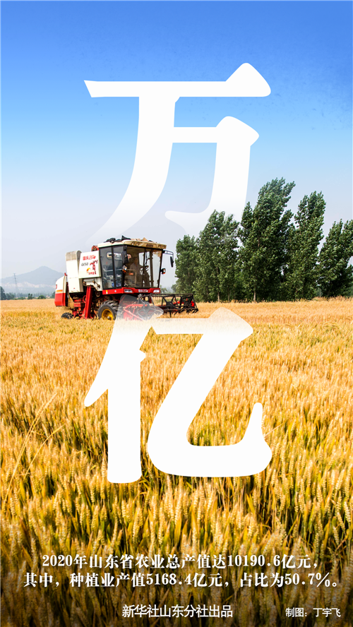 【新华解读】集中清算业务指南年度升级：透视金融基础设施的“精修”之道