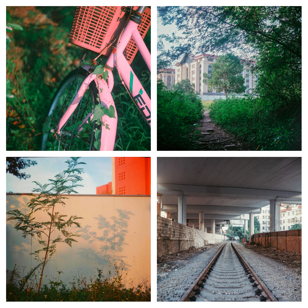 当二手复古相机成为新风口