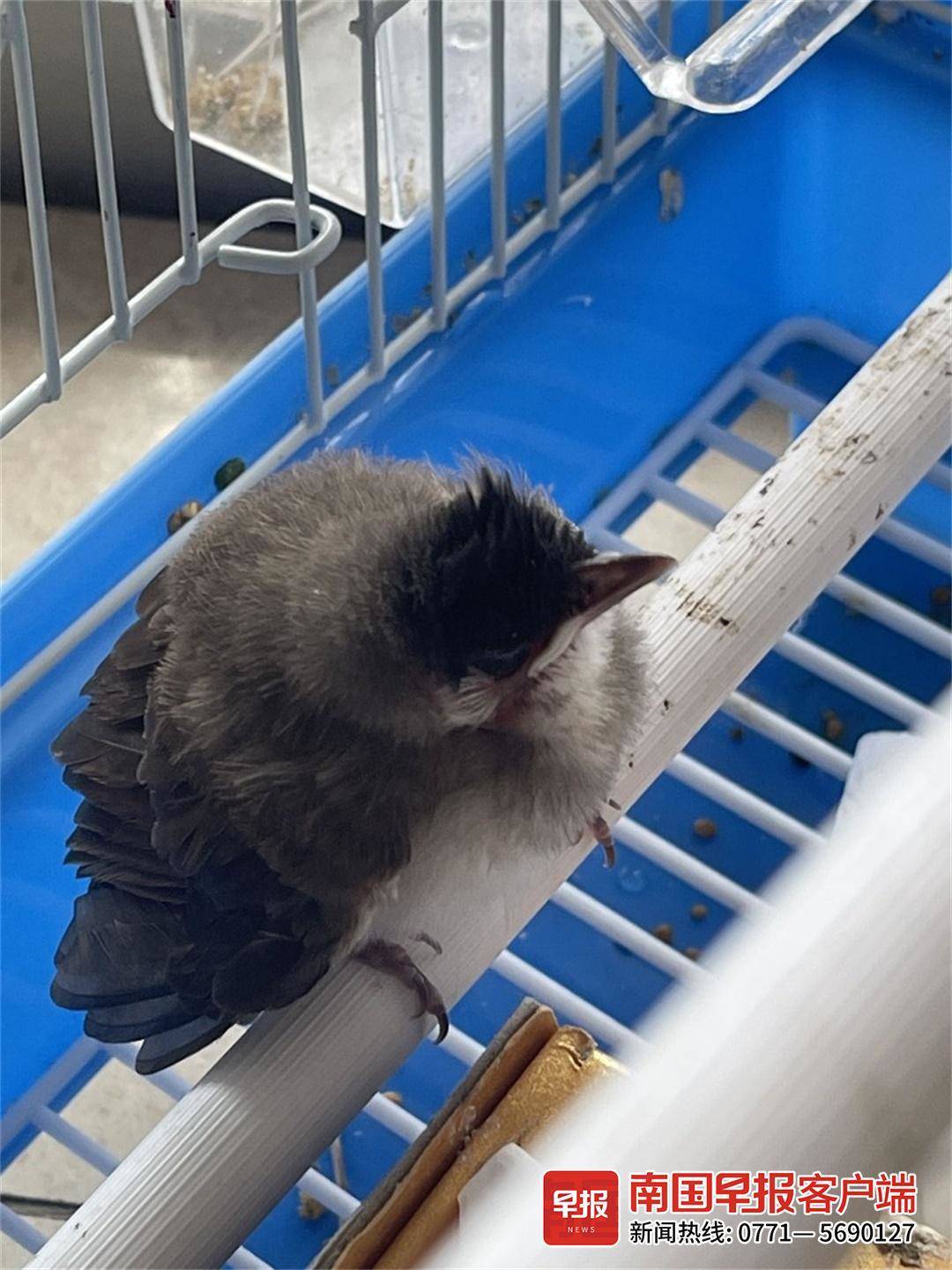 立方风控鸟·早报（3月14日）