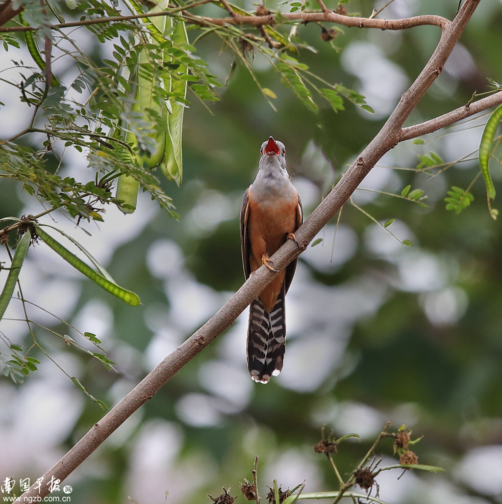 立方风控鸟·早报（3月14日）