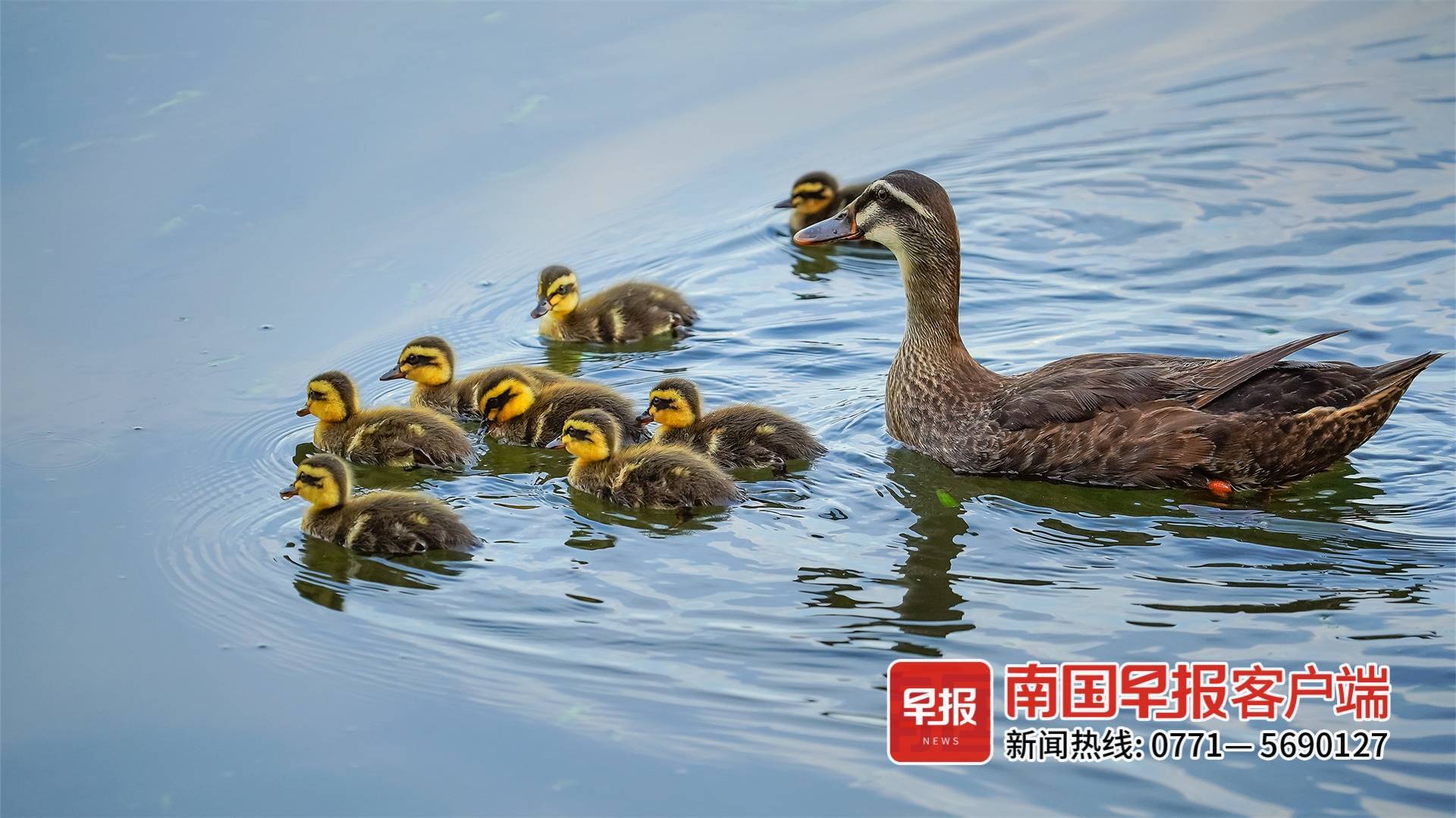 立方风控鸟·早报（3月14日）