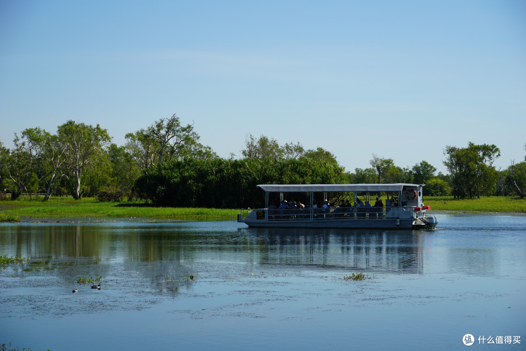 巴西新发现恐龙物种揭示“跨洲”演化迁徙线索